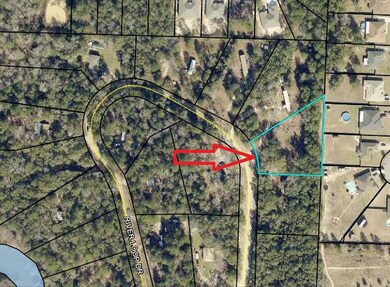6234 River Loop Tax Map