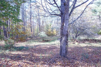 R0000768