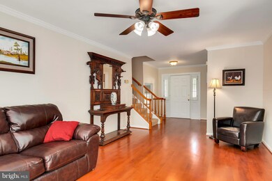 8005 Pyracantha Ct, Springfield, VA 22153 - photo 6