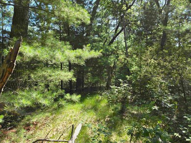 0 13th Dr unit 2003391, Adams, WI 53934 - photo 4