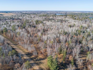 TBD Lot 3 Frustration Ln, Park Rapids, MN 56470 - photo 5