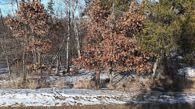 DJI_20250131143220_0300_D - Copy.JPG