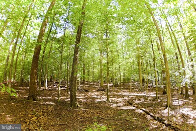 0 Laurel Dr unit MDPG2164030, Accokeek, MD 20607 - photo 5