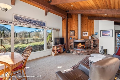 1227 Mountain View Dr unit 1, Aspen, CO 81611 - photo 4