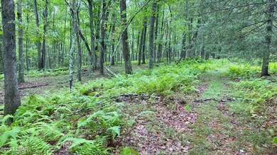 133 Briarcrest Dr, Lackawaxen Township, PA 18428 - photo 4