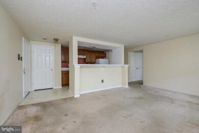 13110 Briarcliff Terrace unit 302, Germantown, MD 20874 - photo 7