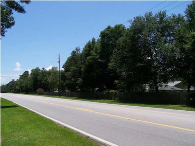 Looking South on Woodbine