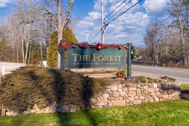 The Forest
