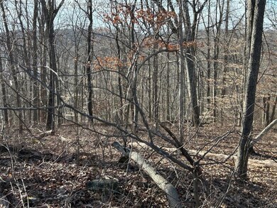 Mostly wooded. Could be timbered