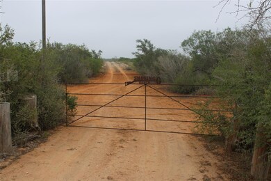 8993 County Road 101, San Diego, TX 78384 - photo 2