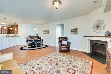 24660 Woolly Mammoth Terrace unit 401, Aldie, VA 20105 - photo 7