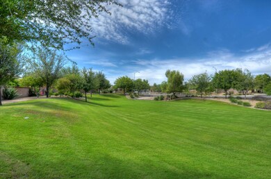 Green Belt