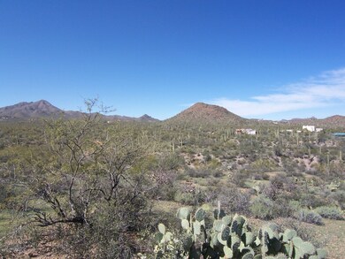 another shot of Mnt views! from lot 2