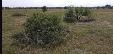 14.7 +/- AC Addie Gee Rd, Hempstead, TX 77445 - photo 5