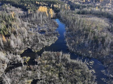 0 Roberts Lake Rd unit 11616225, Laona, WI 54541 - photo 3