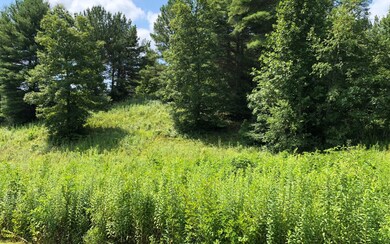 Additional View