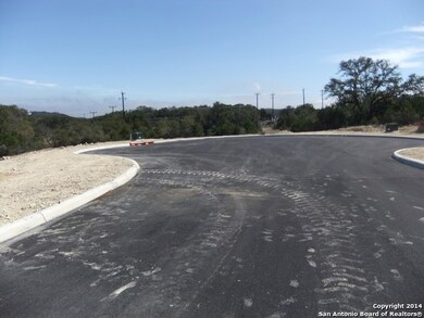 23510 Messina Canyon, San Antonio, TX 78255 - photo 3