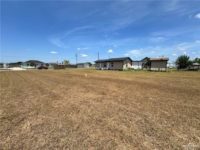 716 Holden Ln, Edinburg, TX 78542 - photo 2