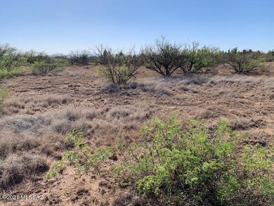 11 Acres N Washington Ave, Douglas, AZ 85607 - photo 2