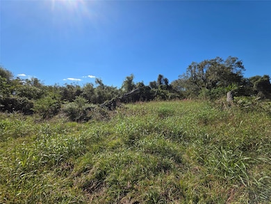 0 Wagon Wheel Trail unit 20641134, Angleton, TX 77515 - photo 5