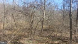 0 Blue Brook Rd unit 1002888482, Berkeley Springs, WV 25411 - photo 4