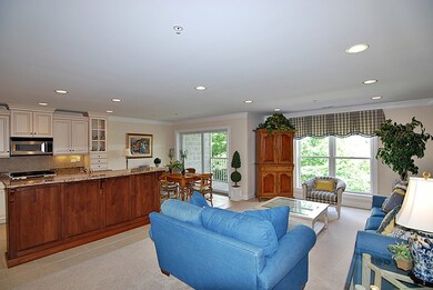 132 N Water St unit 102, Batavia, IL 60510 - photo 2