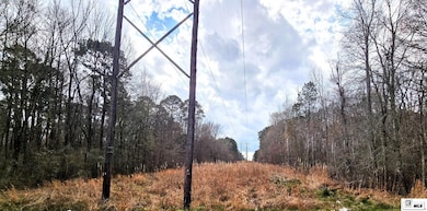 0 Highway 80 unit 213443, West Monroe, LA 71291 - photo 4