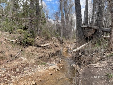 317 Sunflower, Duck Creek Village, UT 84762 - photo 3