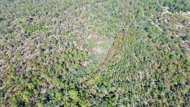 TBD Clearwater Creek Ln, Perry, FL 32348 - photo 5