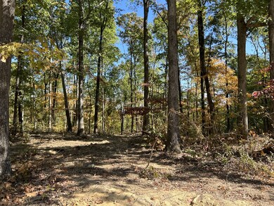 0 Highway 232 unit 128207, Stewart, TN 37175 - photo 6