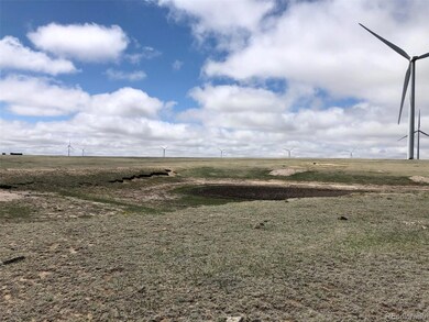 0004 Calhan Hwy, Calhan, CO 80808 - photo 5