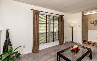 506 Mesa (3)