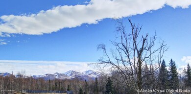 Mountain View1