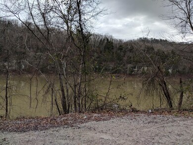 2015 Jasper Bend Rd, Burnside, KY 42519 - photo 4