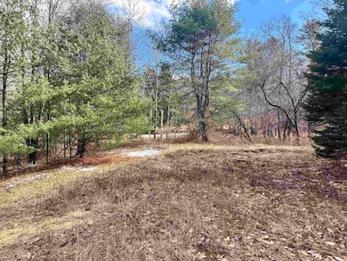 00 Hodge Hill Rd, Lisbon, NH 03585 - photo 6