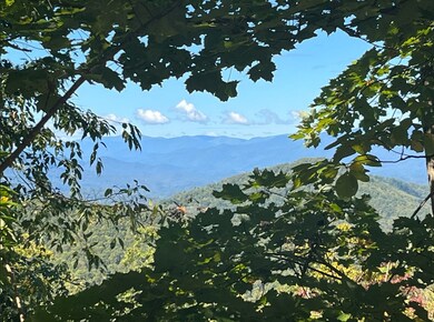 25 25 Stoney Bluff, Bryson City, NC 28803 - photo 3