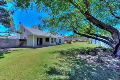 Large Backyard
