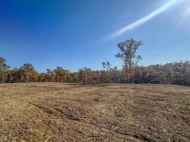 0 Firetower Rd unit 5, Centerville, TN 37033 - photo 5