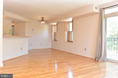 723 S Charles St unit 204, Baltimore, MD 21230 - photo 2