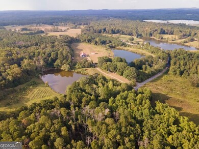 77 Little River Rd, Carrollton, GA 30117 - photo 5