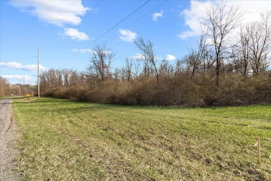 5621 Cox Rd, North Lewisburg, OH 43060 - photo 5