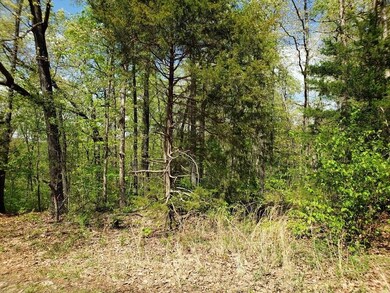 12 Otley Ln, Bella Vista, AR 72714 - photo 4