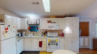 144 Tiger Lilly Dr, Parrish, FL 34219 - photo 7