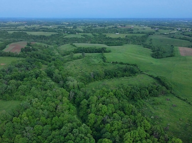 dji_fly_20250516_175504_0004_17474328939