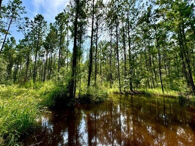 0 Slim Palmer Rd unit 93549026, Zavalla, TX 75949 - photo 5