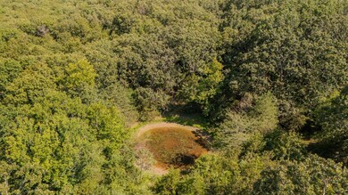 1755 State Hwy O- Tract C, Kissee Mills, MO 65680 - photo 6