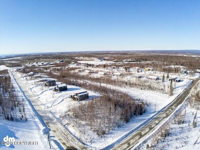 4322 S Preston Hills Dr, Big Lake, AK 99623 - photo 2