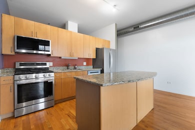 3505 S Morgan St unit 318, Chicago, IL 60609 - photo 3