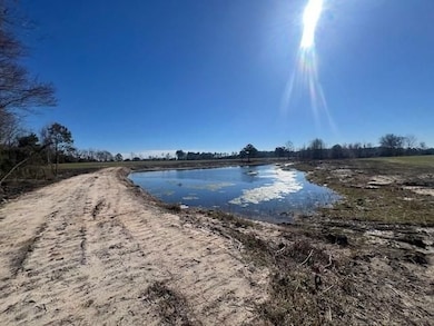 Jim Meeks Rd, Nicholls, GA 31554 - photo 2