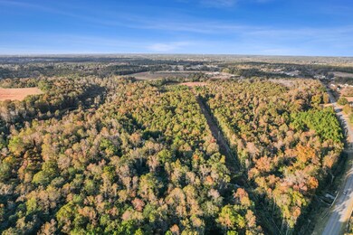 71.73 acres County Road 203, Dothan, AL 36301 - photo 4